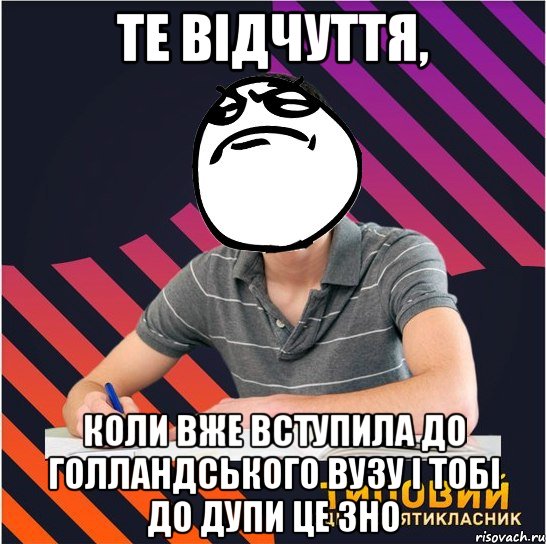 те відчуття, коли вже вступила до голландського вузу і тобі до дупи це зно, Мем Типовий одинадцятикласник