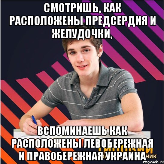 смотришь, как расположены предсердия и желудочки, вспоминаешь как расположены левобережная и правобережная украина, Мем Типовий одинадцятикласник