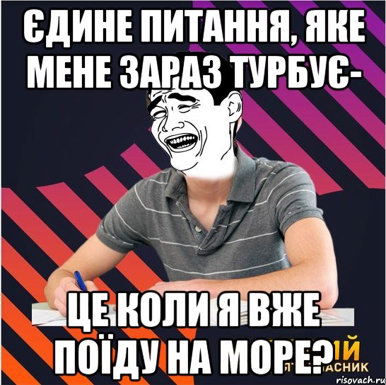 єдине питання, яке мене зараз турбує- це коли я вже поїду на море?, Мем Типовий одинадцятикласник