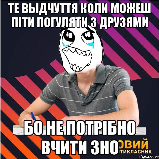 те выдчуття коли можеш піти погуляти з друзями бо не потрібно вчити зно, Мем Типовий одинадцятикласник