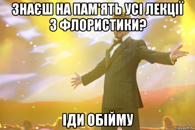 знаєш на пам'ять усі лекції з флористики? іди обійму, Мем Тони Старк (Роберт Дауни младший)