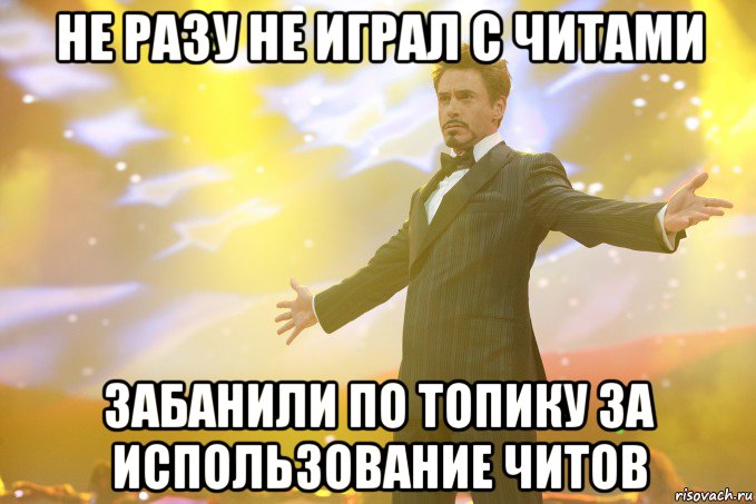 не разу не играл с читами забанили по топику за использование читов, Мем Тони Старк (Роберт Дауни младший)