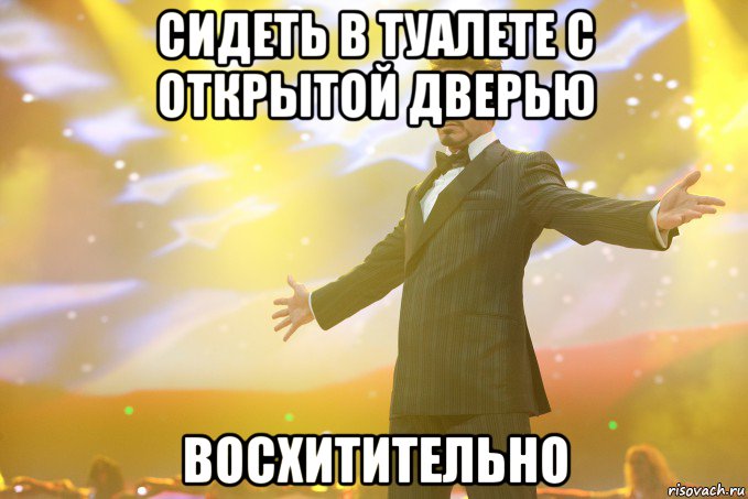 сидеть в туалете с открытой дверью восхитительно, Мем Тони Старк (Роберт Дауни младший)