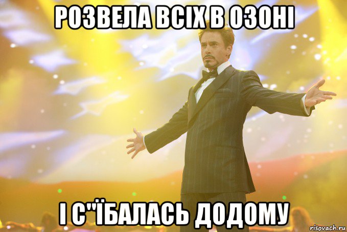 розвела всіх в озоні і с"їбалась додому, Мем Тони Старк (Роберт Дауни младший)