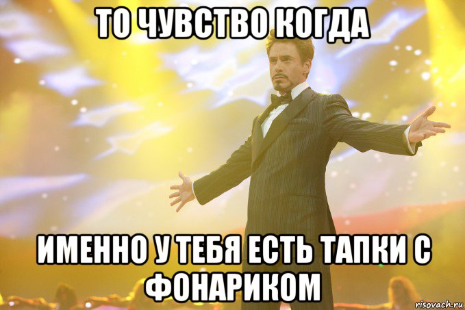 то чувство когда именно у тебя есть тапки с фонариком, Мем Тони Старк (Роберт Дауни младший)