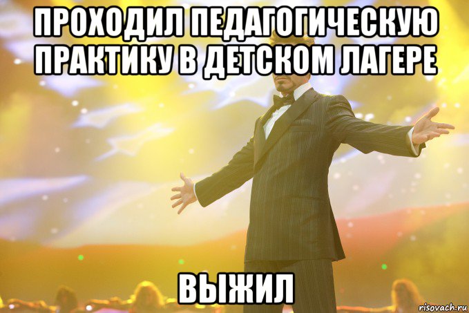 проходил педагогическую практику в детском лагере выжил, Мем Тони Старк (Роберт Дауни младший)