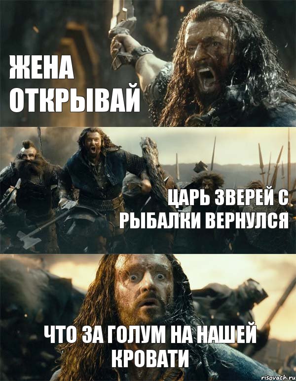 жена открывай царь зверей с рыбалки вернулся что за голум на нашей кровати, Комикс Торин Дубощит