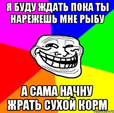 я буду ждать пока ты нарежешь мне рыбу а сама начну жрать сухой корм, Мем Тролль Адвайс