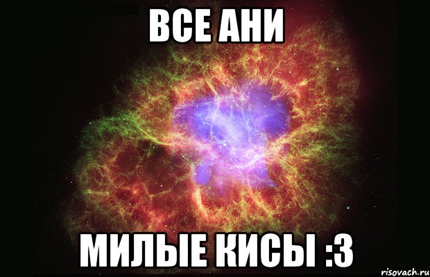 все ани милые кисы :3, Мем Туманность