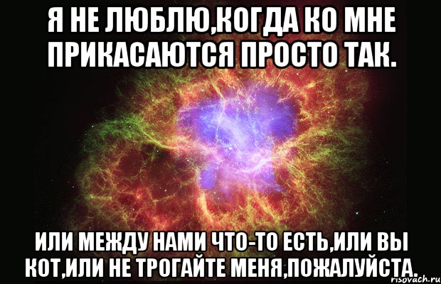 Любит или не любит. Или вы кот или не трогайте меня пожалуйста. Люблю когда меня любят. Я не люблю когда меня. Я не люблю когда ко мне прикасаются просто так.