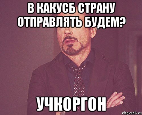 в какусб страну отправлять будем? учкоргон, Мем твое выражение лица