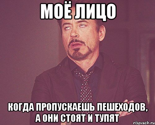 моё лицо когда пропускаешь пешеходов, а они стоят и тупят, Мем твое выражение лица