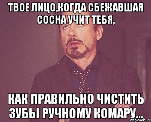 твое лицо,когда сбежавшая сосна учит тебя, как правильно чистить зубы ручному комару..., Мем твое выражение лица