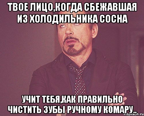 твое лицо,когда сбежавшая из холодильника сосна учит тебя,как правильно чистить зубы ручному комару.., Мем твое выражение лица