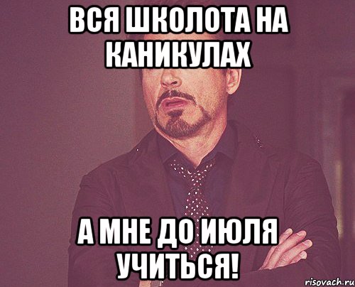 вся школота на каникулах а мне до июля учиться!, Мем твое выражение лица