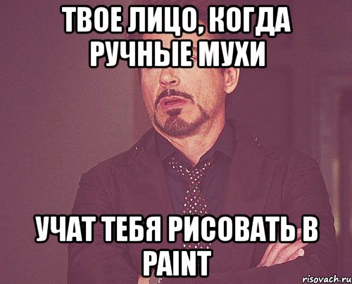 твое лицо, когда ручные мухи учат тебя рисовать в paint, Мем твое выражение лица