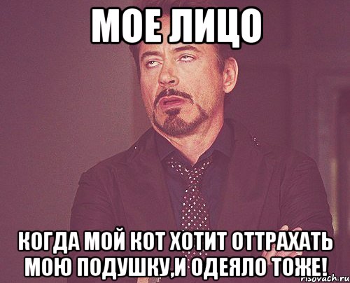 мое лицо когда мой кот хотит оттрахать мою подушку,и одеяло тоже!, Мем твое выражение лица