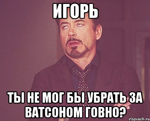 игорь ты не мог бы убрать за ватсоном говно?, Мем твое выражение лица