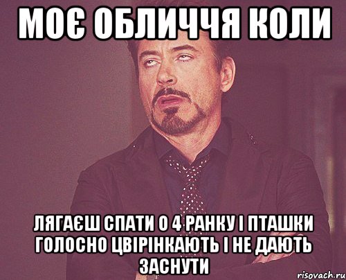 моє обличчя коли лягаєш спати о 4 ранку і пташки голосно цвірінкають і не дають заснути, Мем твое выражение лица