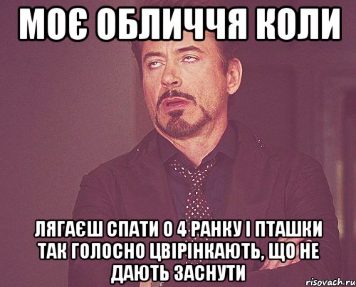 моє обличчя коли лягаєш спати о 4 ранку і пташки так голосно цвірінкають, що не дають заснути, Мем твое выражение лица