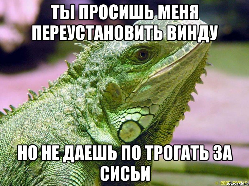 Дам потрогать. Шутка про переустановку винды. Переустановить винду прикол. Переустановить винду мемы. Переустанови мне винду прикол.