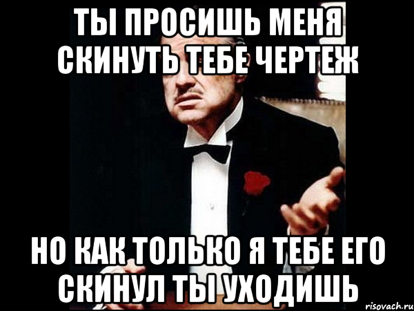 ты просишь меня скинуть тебе чертеж но как только я тебе его скинул ты уходишь