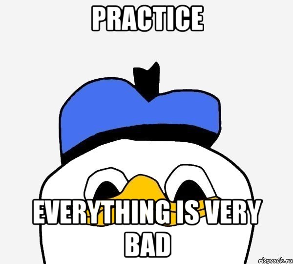 practice everything is very bad, Мем Утка