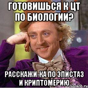 готовишься к цт по биологии? расскажи-ка по эпистаз и криптомерию, Мем Ну давай расскажи (Вилли Вонка)