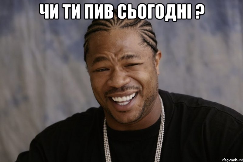 чи ти пив сьогодні ? , Мем Xzibit