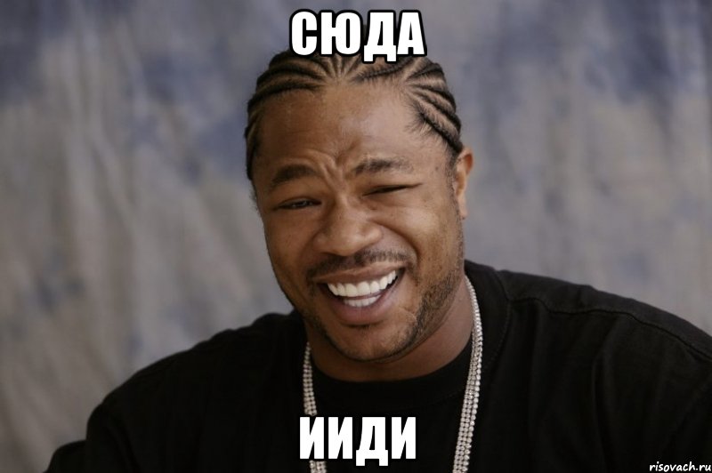 сюда ииди, Мем Xzibit