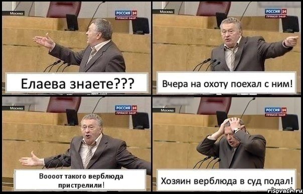 Елаева знаете??? Вчера на охоту поехал с ним! Воооот такого верблюда пристрелили! Хозяин верблюда в суд подал!, Комикс Жирик в шоке хватается за голову