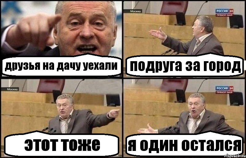 друзья на дачу уехали подруга за город этот тоже я один остался, Комикс Жириновский