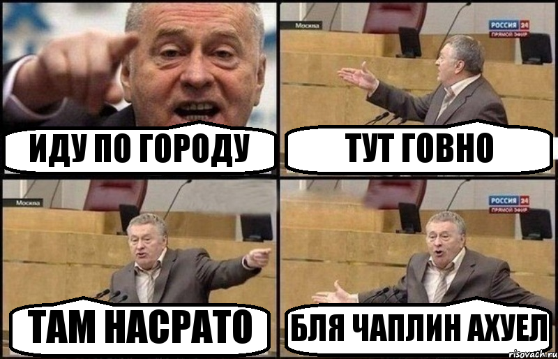 ИДУ ПО ГОРОДУ ТУТ ГОВНО ТАМ НАСРАТО БЛЯ ЧАПЛИН АХУЕЛ, Комикс Жириновский