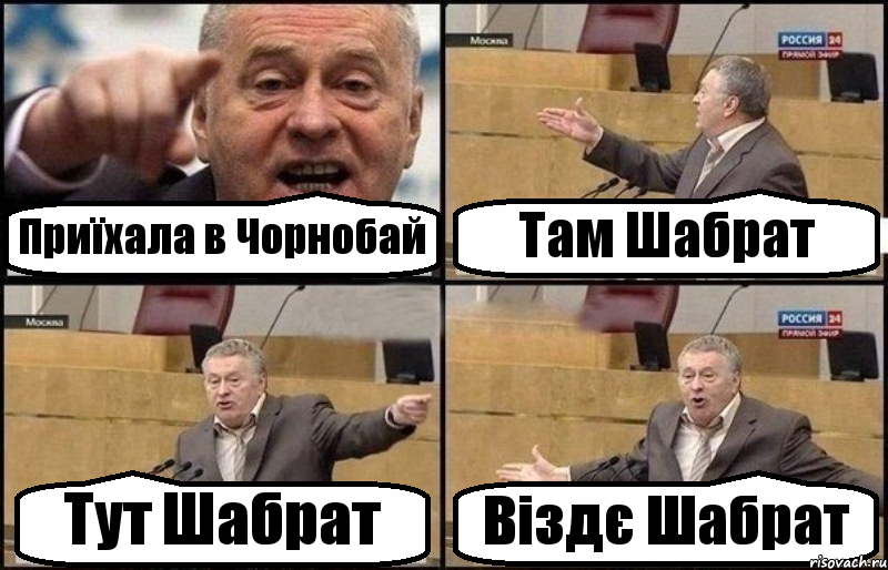 Приїхала в Чорнобай Там Шабрат Тут Шабрат Віздє Шабрат, Комикс Жириновский