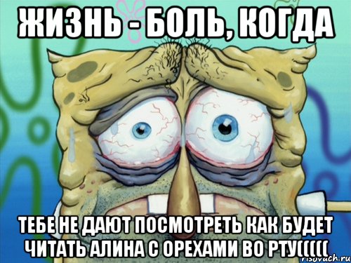 жизнь - боль, когда тебе не дают посмотреть как будет читать алина с орехами во рту(((((, Мем  жизнь-боль