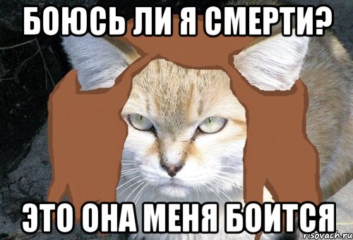 Не ма. Боится Мем. Я боюсь.