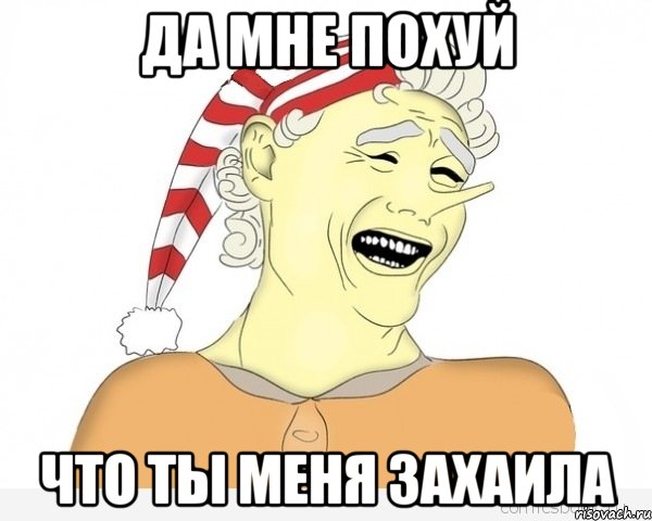 да мне похуй что ты меня захаила, Мем буратино