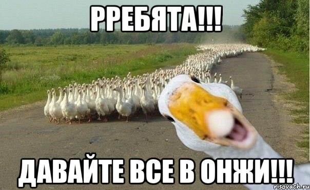 рребята!!! давайте все в онжи!!!, Мем гуси