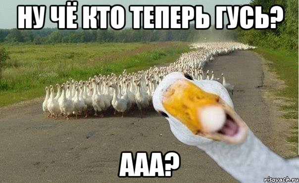 ну чё кто теперь гусь? ааа?