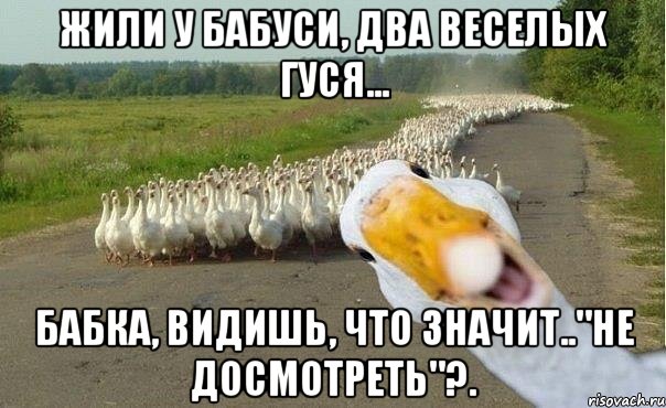 жили у бабуси, два веселых гуся... бабка, видишь, что значит.."не досмотреть"?., Мем гуси