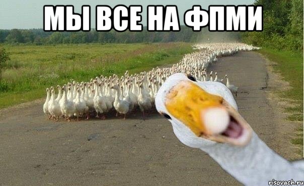 мы все на фпми , Мем гуси