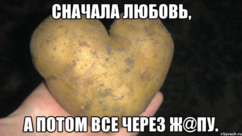 Любовь сперва. Мемы про картошку. Я картошка.