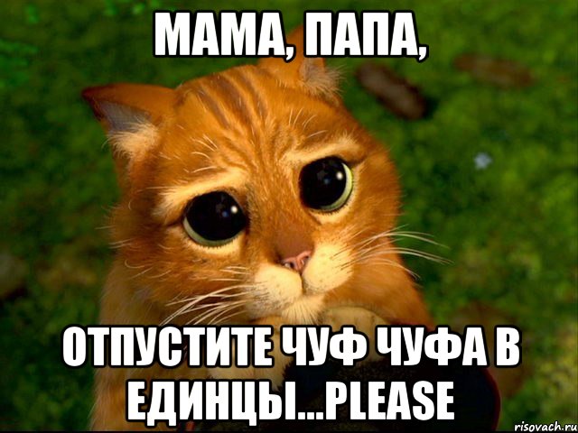 мама, папа, отпустите чуф чуфа в единцы...please, Мем кот из шрека