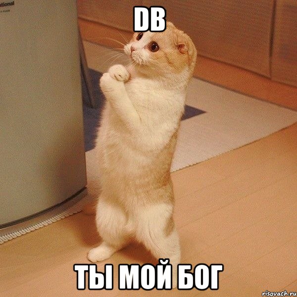 db ты мой бог, Мем  котэ молится