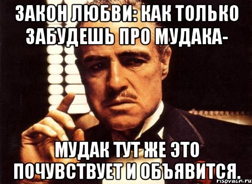 закон любви: как только забудешь про мудака- мудак тут же это почувствует и объявится., Мем крестный отец