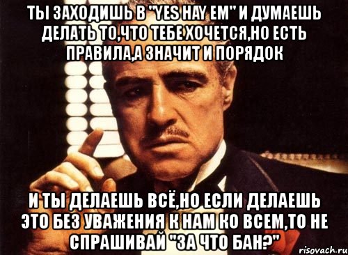 ты заходишь в "yes hay em" и думаешь делать то,что тебе хочется,но есть правила,а значит и порядок и ты делаешь всё,но если делаешь это без уважения к нам ко всем,то не спрашивай "за что бан?", Мем крестный отец