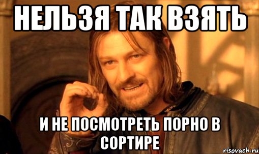 нельзя так взять и не посмотреть порно в сортире, Мем Нельзя просто так взять и (Боромир мем)