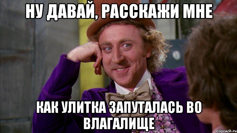 ну давай, расскажи мне как улитка запуталась во влагалище, Мем Ну давай расскажи (Вилли Вонка)