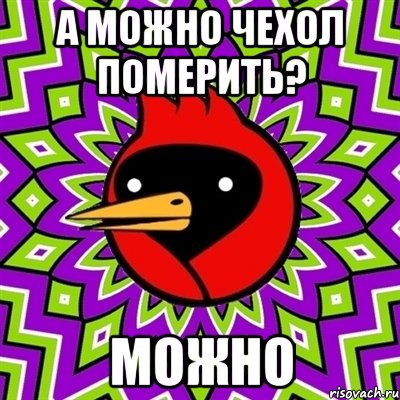 а можно чехол померить? можно, Мем Омская птица