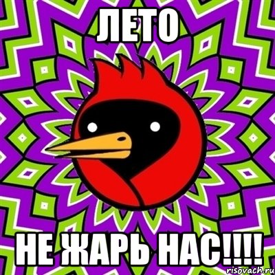 лето не жарь нас!!!, Мем Омская птица